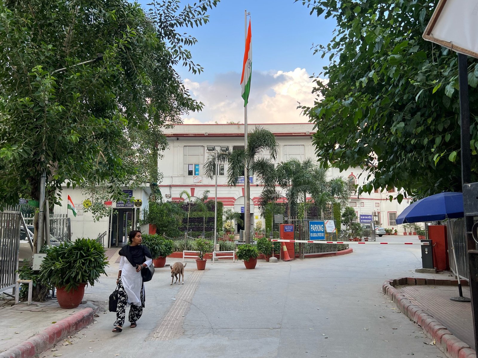 DSSSB Safai Karamchari Chowkidar Bharti 2026 — Patiala House Courts, Delhi (pratinidhi tasveer)