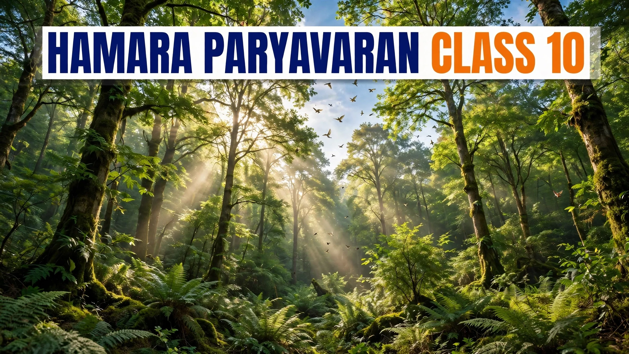 Hamara Paryavaran Class 10 notes cover image